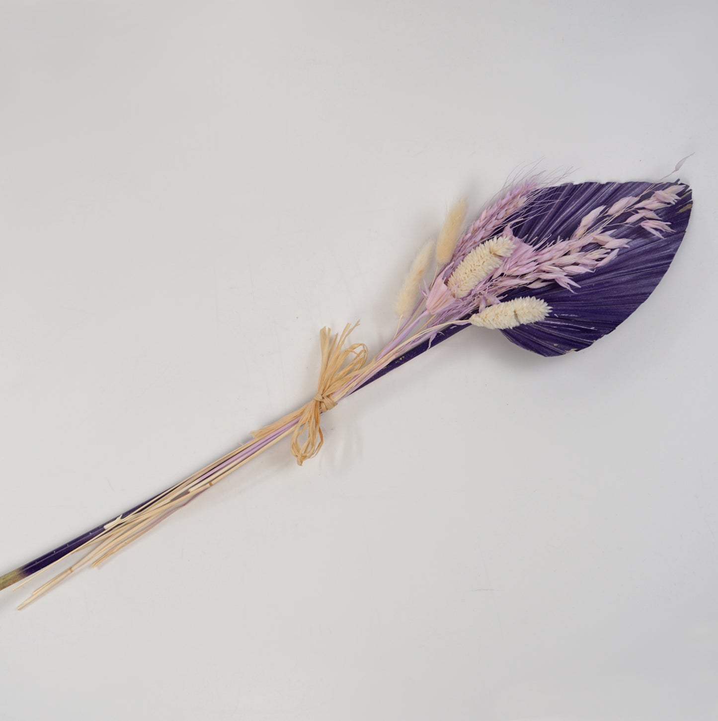 Trockenblume Palmblätter lila