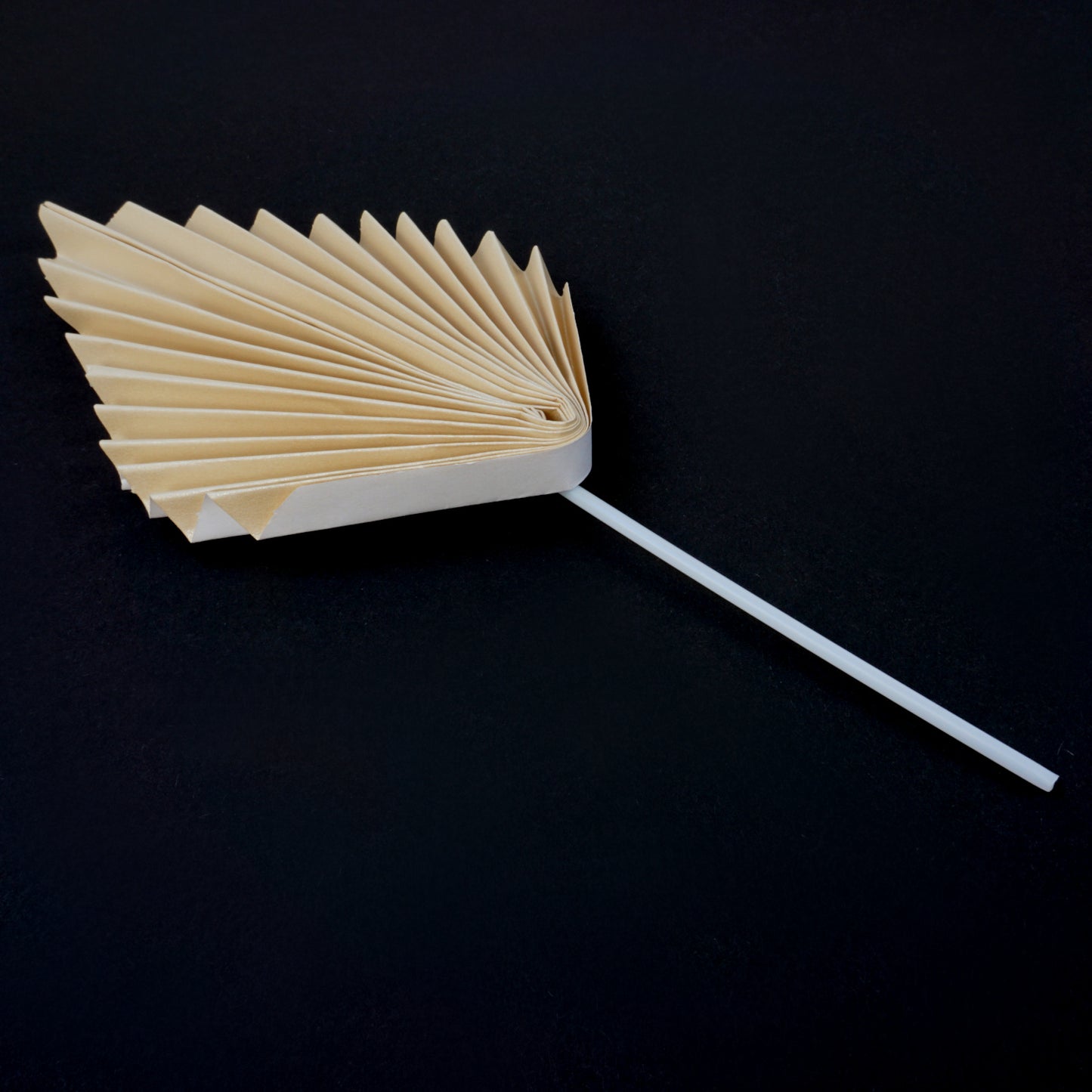 Fächer Natur aus Papier