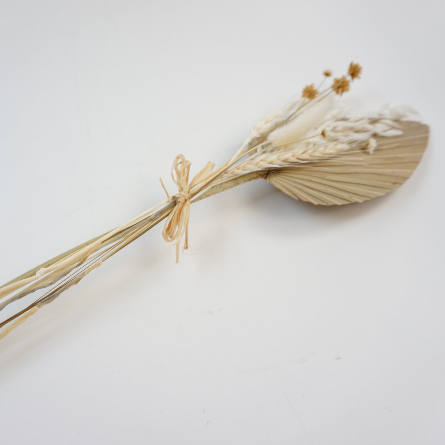 Trockenblume Palmblätter natur
