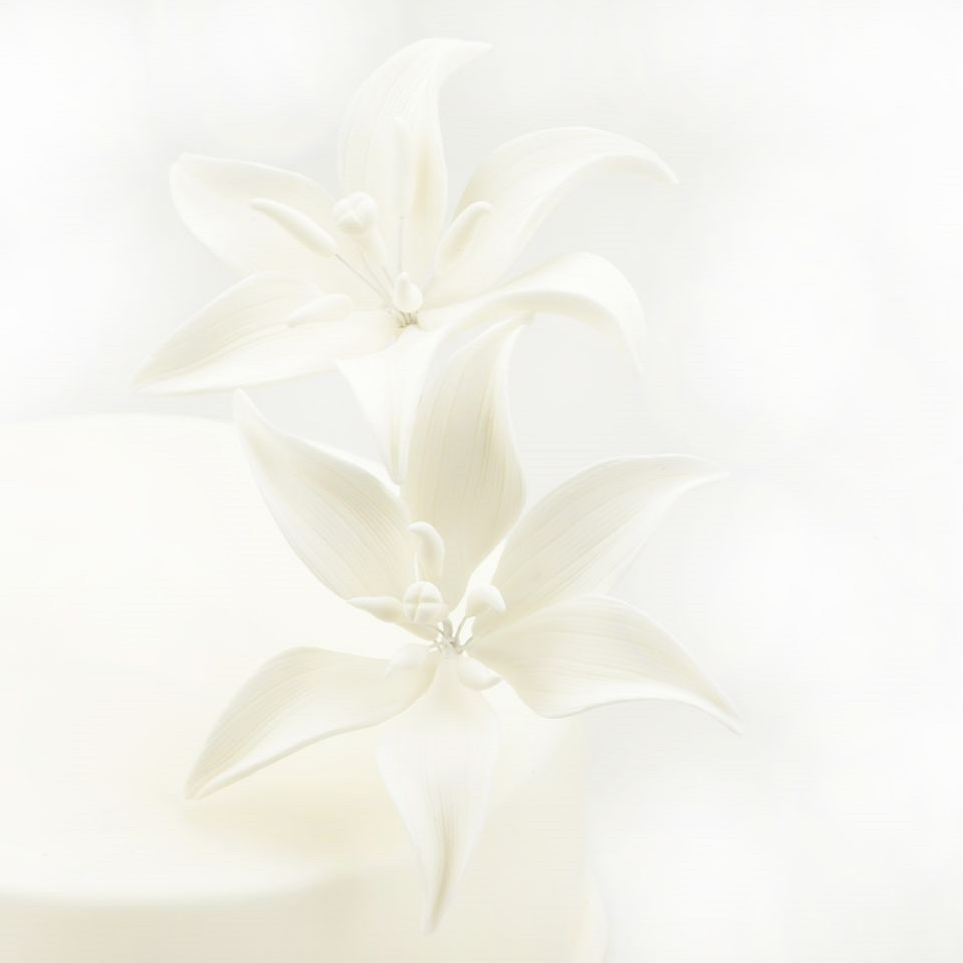 Feinzucker Blüten Tiger Lily White 2er ca. 10cm