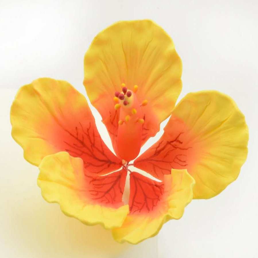Feinzucker Blüte Hibiscus Giant 11,4cm