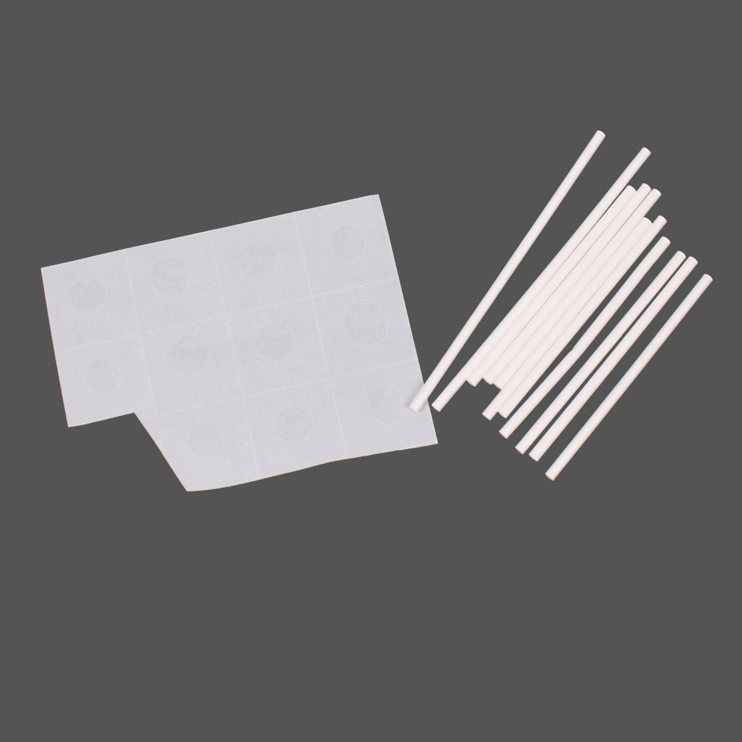 Afrika Tiere Zoo / Kuchenstecker