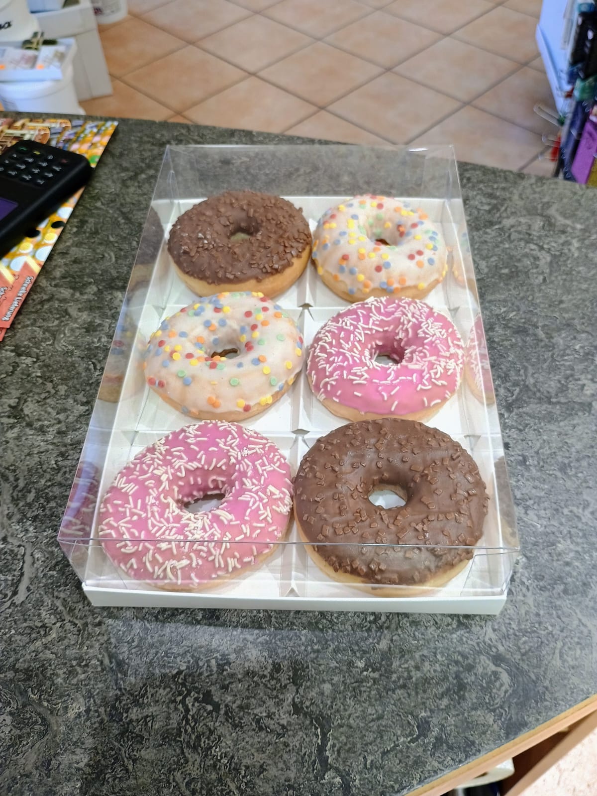Muffinbox 6er mit transparenter Haube & Trenner – perfekt für Donuts