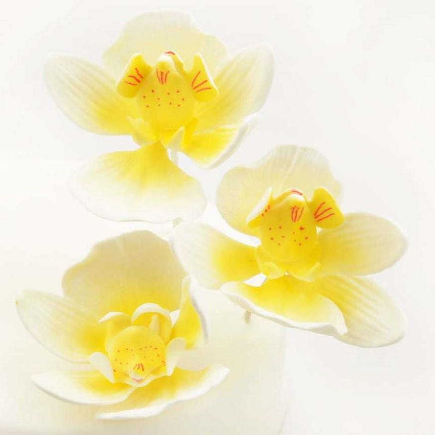 Feinzucker Blüten Moth Orchid 3er ca 7,6cm