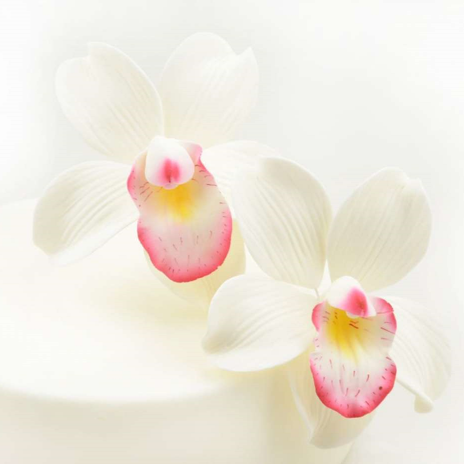 Feinzucker Blüten Cymbidium Orchid 2er ca 9,5cm