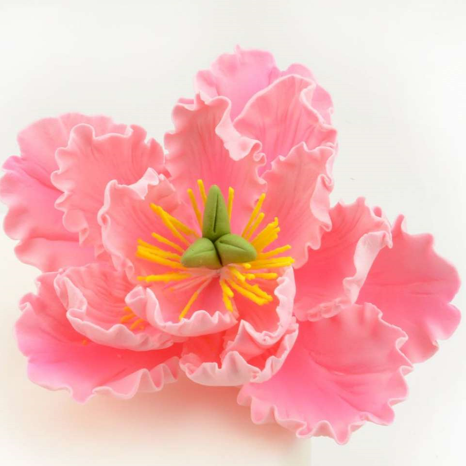 Feinzucker Blüte Peony pink 11,4cm