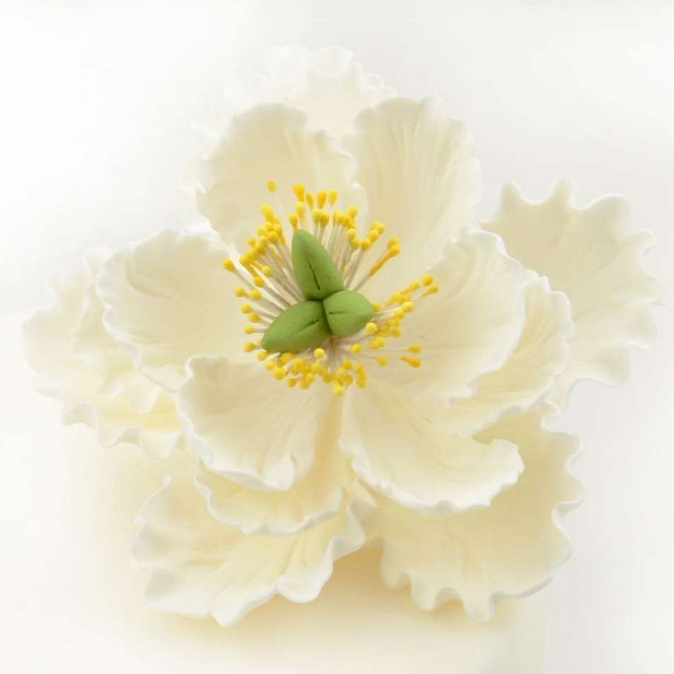 Feinzucker Blüte Peony white 11,4cm