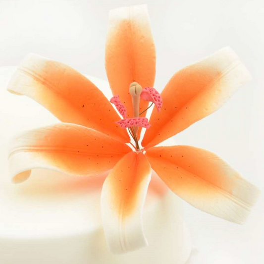 Feinzucker Blüte Lily white orange spray 12,7cm