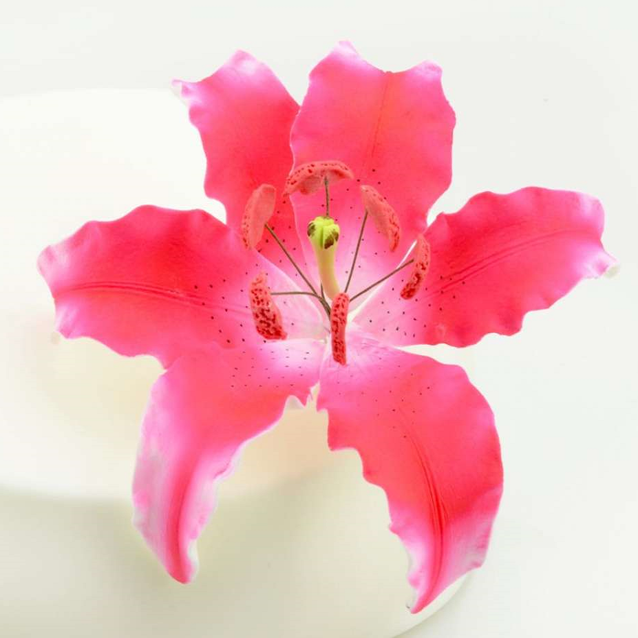 Feinzucker Blüte Lily dark pink spray 12,7cm